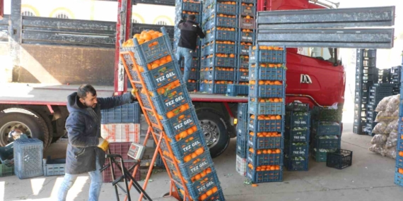 Diyarbakır’da soğuk hava sebze ve meyve fiyatlarını etkiledi