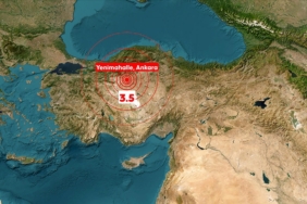 thumbs_b_c_3d77ef7b88535cf9e2984f755e672cef