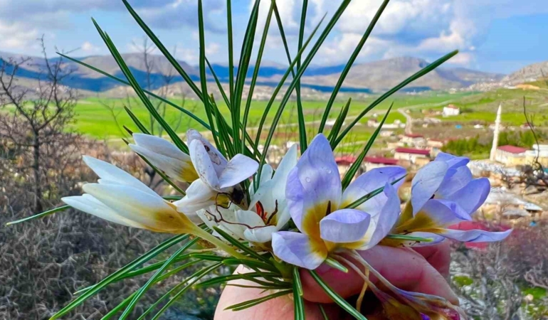 baharin-ahengi-goz-kamastirdi-1RNJZgxn.jpg