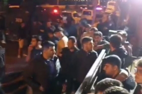 photo_2025-03-11_01-16-12