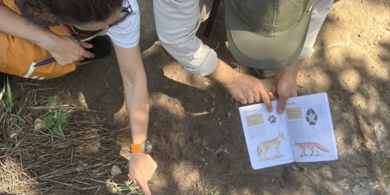 Diyarbakır’da Orman Anaokullarına Giriş Kursu düzenlendi