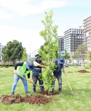 mahabad-bulvarinda-peyzaj-calismalari-devam-ediyor-tdkNIKEF.jpg
