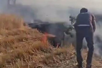 Diyarbakır’da vatandaşlar ağaç dallarını kopararak yangını söndürmeye çalıştı