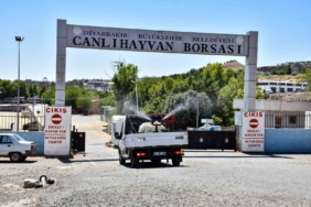 diyarbakirda-kapatilan-canli-hayvan-borsasi-ilaclanip-dezenfekte-edildi-PNUltM1z.jpg