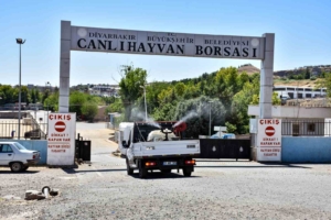 diyarbakirda-kapatilan-canli-hayvan-borsasi-ilaclanip-dezenfekte-edildi-PNUltM1z.jpg