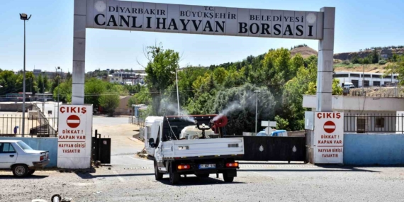 Diyarbakır’da kapatılan Canlı Hayvan Borsası ilaçlanıp dezenfekte edildi