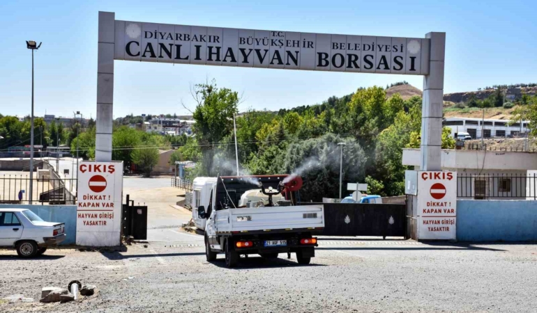 diyarbakirda-kapatilan-canli-hayvan-borsasi-ilaclanip-dezenfekte-edildi-PNUltM1z.jpg