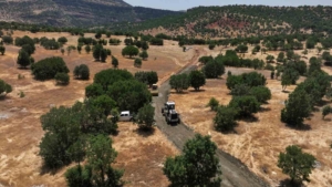 diyarbakirda-koylerine-donen-vatandaslarin-yollari-insa-ediliyor-OIfCFZNQ.jpg