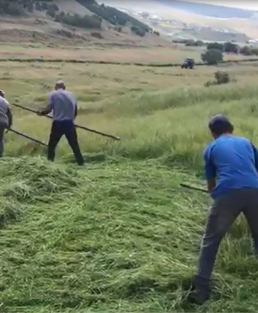 ardahanin-daglik-meralarinda-tirpanla-kislik-yem-hazirligi-uytMnKVz.jpg