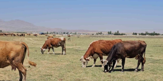 Arin Gölü’nde Su Kaybı ve Köylülerin Sondajla Çözüm Arayışı