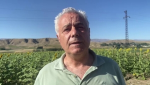doguda-aycicegi-ve-misir-uretimi-artiyor-XFjYGn92.jpg