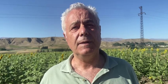 Doğu’da ayçiçeği ve mısır üretimi artıyor