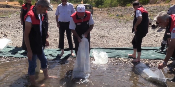 Elazığ’da Su Kaynaklarını Balıklandırmaya Yönelik Yıl İçindeki Önemli Adımlar ve Üretim Akışı