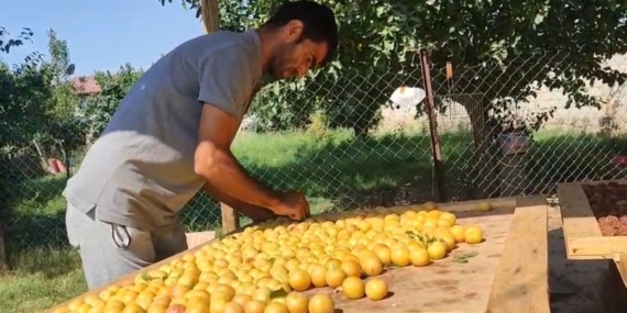Iğdır’da güneşte kurutulan meyveler pazarda satılıyor