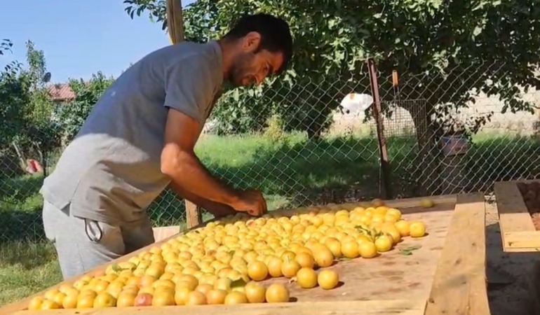 igdirda-guneste-kurutulan-meyveler-pazarda-satiliyor-P6GDZztL.jpg