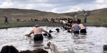 karsta-sicakla-mucadele-sicaktan-etkilenen-koyunlari-derede-serinlettiler-W3dOeYWp.jpg
