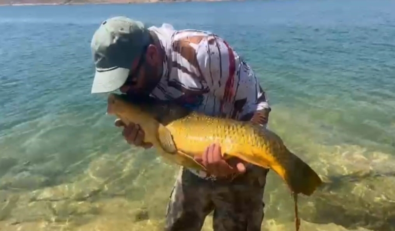 keban-barajinda-yakalanan-15-kiloluk-sazan-baligina-sefkatli-dokunus-yOA6g8tH.jpg