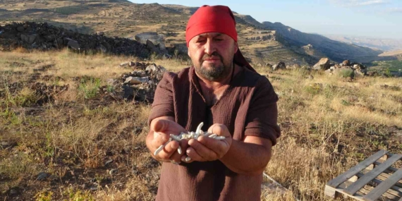 Kenger Sakızı: Malatya’nın Dağlarından Yükselen Değerli Ürün