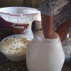 kuma-gomulerek-olgunlastirilan-kup-peyniri-asirlik-lezzetini-koruyor-YHCJhNbH.jpg