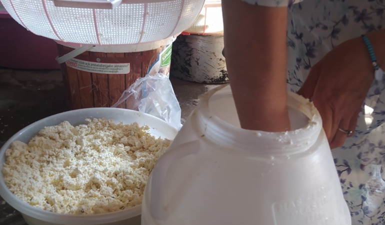 kuma-gomulerek-olgunlastirilan-kup-peyniri-asirlik-lezzetini-koruyor-YHCJhNbH.jpg
