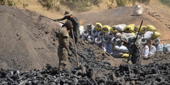 Muş ve Mardin’den Gelen Mevsimlik İşçiler: Duman ve Zorluk İçinde Mangal Kömürü Yolunda