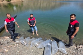 paluda-beyhan-baraj-golune-50-bin-yavru-balik-salimi-ve-balikcilik-icin-ekonomik-destek-rZpYfhXN.jpg