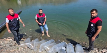 paluda-beyhan-baraj-golune-50-bin-yavru-balik-salimi-ve-balikcilik-icin-ekonomik-destek-rZpYfhXN.jpg