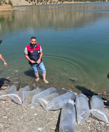 paluda-beyhan-baraj-golune-50-bin-yavru-balik-salimi-ve-balikcilik-icin-ekonomik-destek-rZpYfhXN.jpg