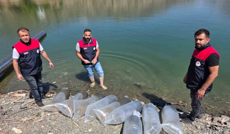 paluda-beyhan-baraj-golune-50-bin-yavru-balik-salimi-ve-balikcilik-icin-ekonomik-destek-rZpYfhXN.jpg
