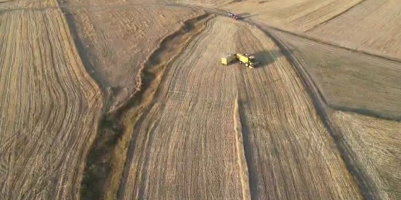 Ardahan’da Hasat Zamanı: Hububat Üreticileri Zorlu Koşullara Rağmen Umudu Süzüyor