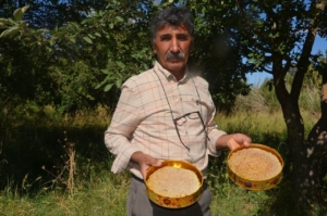 arguvanda-30-yili-asan-ariciliktan-yeni-sezon-ballari-kara-kovan-ve-suzme-bal-ticareti-NIrDDLWI.jpg