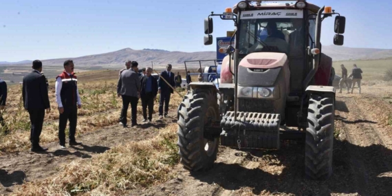 Bitlis’in Ahlat ilçesinde kuru fasulye hasadı ve rekolteye dair güncel bilgiler