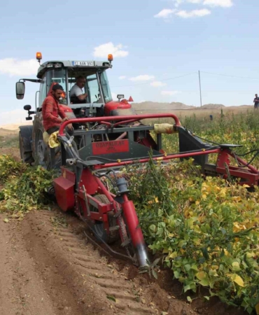 bitliste-kuru-fasulye-hasadi-basladi-tohumluk-uretiminde-turkiye-birinciligi-ve-yuksek-mekanizasyon-7MqYuKNZ.jpg