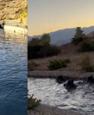 caglayanda-sulama-kanalinda-kayip-ve-kurtarma-hikayesi-domuz-surusu-bogularak-telef-oldu-KkWQ6ueh.jpg