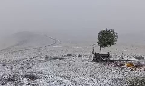 Çakmak Dağı’nın İlk Karıyla Geniş Yayla Beyaza Büründü: Karayazı’da Mevsimin Başlangıcı