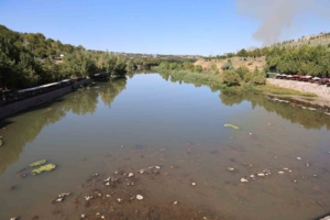 dicle-nehrinin-diyarbakir-bolgesinde-balik-olumleri-ve-bolgesel-etkileri-TWd3EkEm.jpg