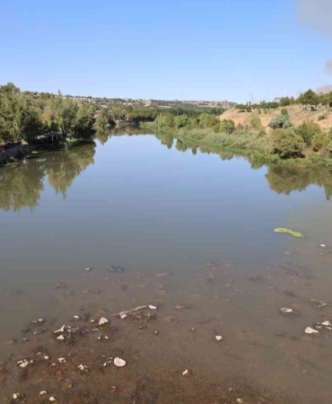 dicle-nehrinin-diyarbakir-bolgesinde-balik-olumleri-ve-bolgesel-etkileri-TWd3EkEm.jpg