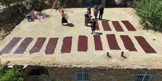 Günlüce Köyü’nde Mereto Dağı Eteklerinde Geleneksel Üzüm Üretimi ve Yöresel Cevizli Sucuk ile Pestil Yolculuğu