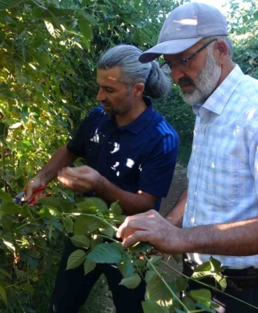 malatyada-uzumsu-meyve-potansiyeli-icin-bogurtlen-ve-cilek-projeleriyle-cesitlendirme-atilimlari-K1ARGFbi.jpg