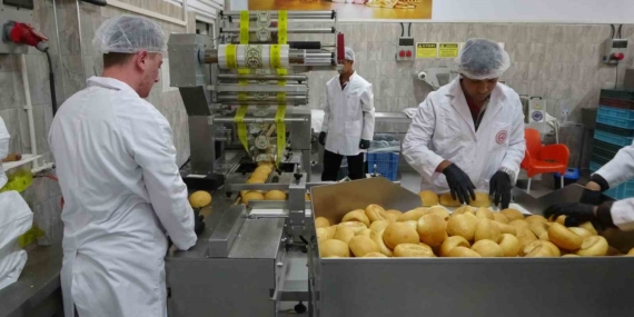 Malatya’daki Tarım Lisesi öğrencileriyle üretilen buğdaydan ekmeğe: eğitim ve üretim birleşiyor