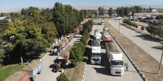 Muş’ta Şeker Pancarı Alım Kampanyasının 44. Yılı Başladı: Ekonomiye Ciddi Katkı Hedefiyle 320 Bin Tona Ulaşıyor