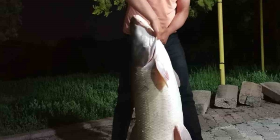 Palu’da Baba-Oğulun Dev Turna Balığı Şoku