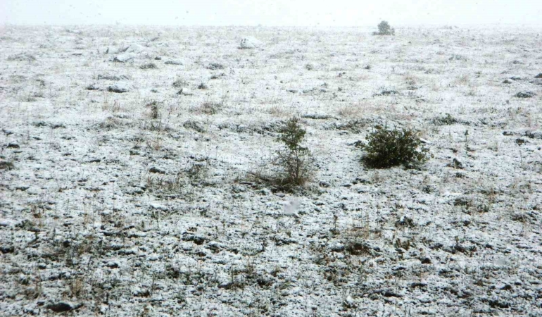 posof-ilcesinde-eylulun-ilk-kari-daglar-ve-yaylalar-beyaza-burundu-GuGJOsag.jpg