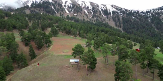 Sapaca Yaylası Puşulu Mezrası’na Sonbahar Öncesi İlk Kar Manzarası