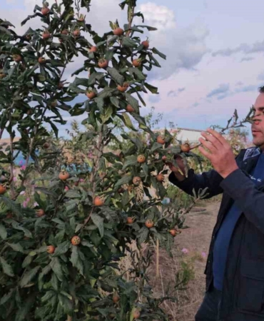 tatvanda-sicak-ve-soguk-iklime-ragmen-meyve-deneyi-mehmet-okayin-bahcesinde-yeni-umutlar-kQd7xIWG.jpg