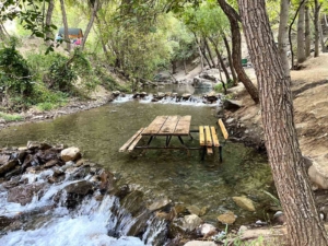 teke-deresi-doganin-serin-seli-ve-yazdaki-keyif-duragi-VpmSf1tA.jpg