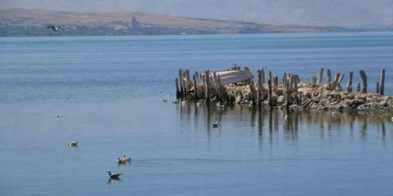 Van Gölü Havzası ve İçme Suyu Sorununda Yakın Dönem Uyarılar: Yarın İçin Nasıl Yönetmeliyiz