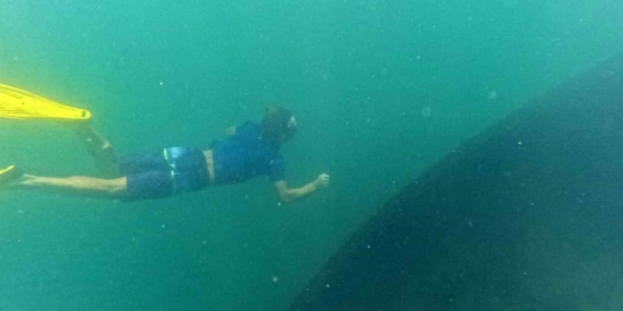 Van Gölü’nde Tüpsüz Dalışla Tarihe Yolculuk: Batık Rus Şilebi Görüntülendi