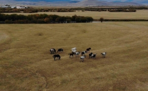 ardahanin-yalik-atlari-ve-dron-goruntulemeyle-doga-turizmi-potansiyeli-O4wRVB8p.jpg