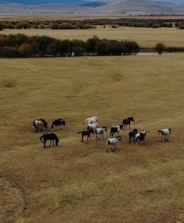ardahanin-yalik-atlari-ve-dron-goruntulemeyle-doga-turizmi-potansiyeli-O4wRVB8p.jpg